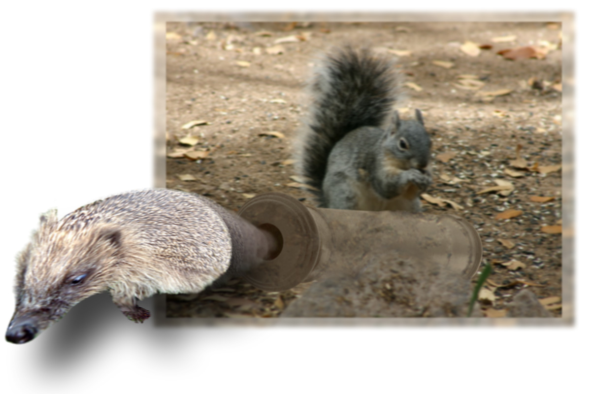 Photoshop Design by dadrak for DesignCrowd (Community Contests) | Design #9044206