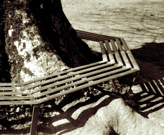 Photography by Flibble for DesignCrowd (Community Contests) | Design #9051103