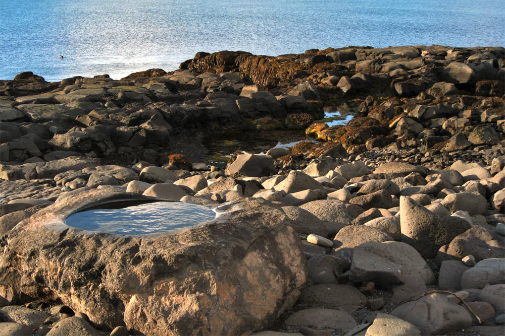 Photography by Maddyy for DesignCrowd (Community Contests) | Design #9051095