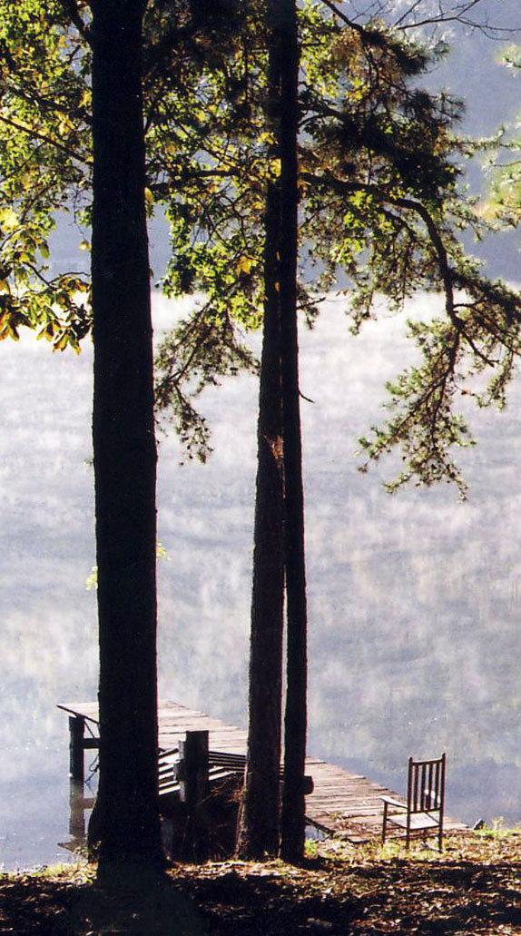 Fotografía por faeriefly__ para DesignCrowd (Community Contests) | Diseño #9051207