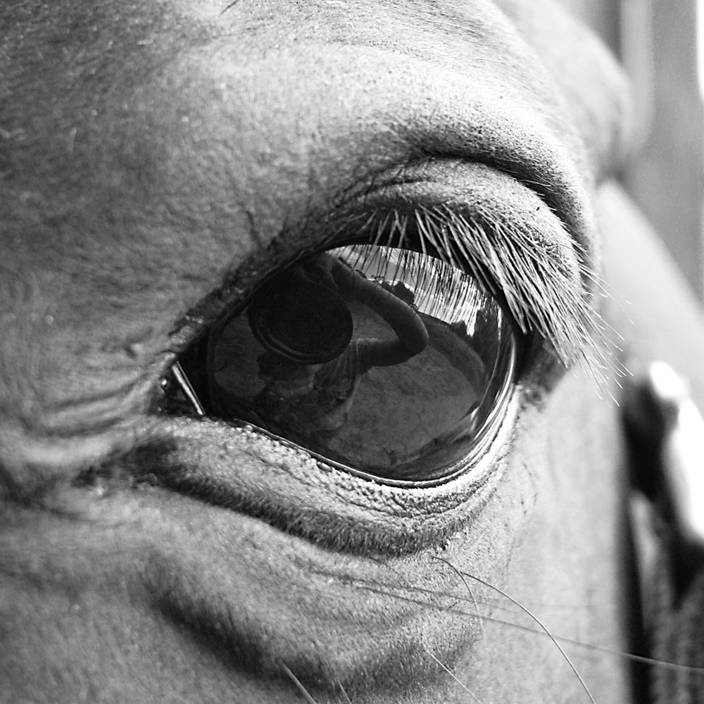 Photographie par cohena pour DesignCrowd (Community Contests) | Design #9046120