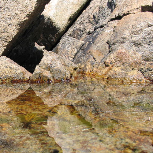 Photography by smekla for DesignCrowd (Community Contests) | Design #9046103