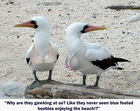 Photoshop Design by Adrune for DesignCrowd (Community Contests) | Design #9047323