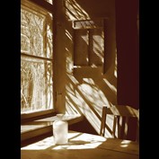 Photography by Limitchik