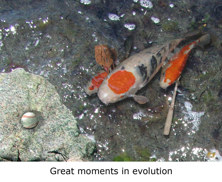 Photoshop Design by Guldfisken for DesignCrowd (Community Contests) | Design #9047371