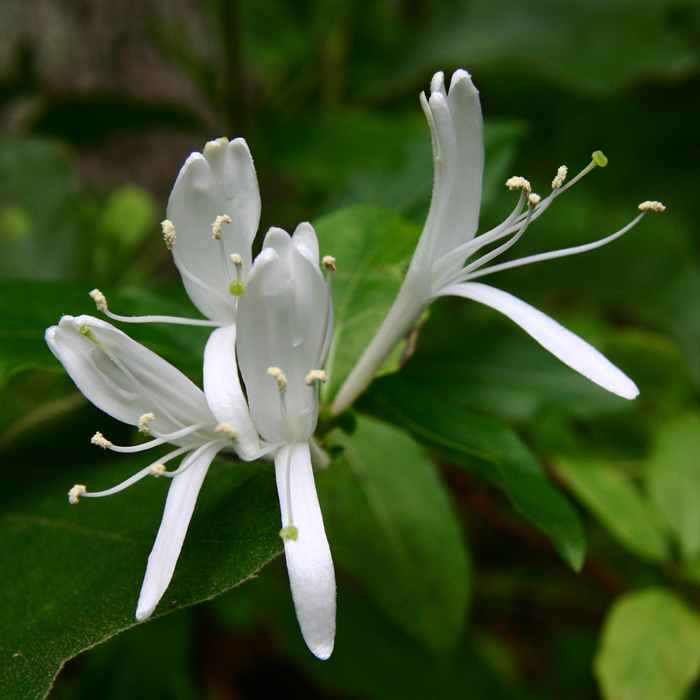 Photography by rdchdwck for DesignCrowd (Community Contests) | Design #9046200