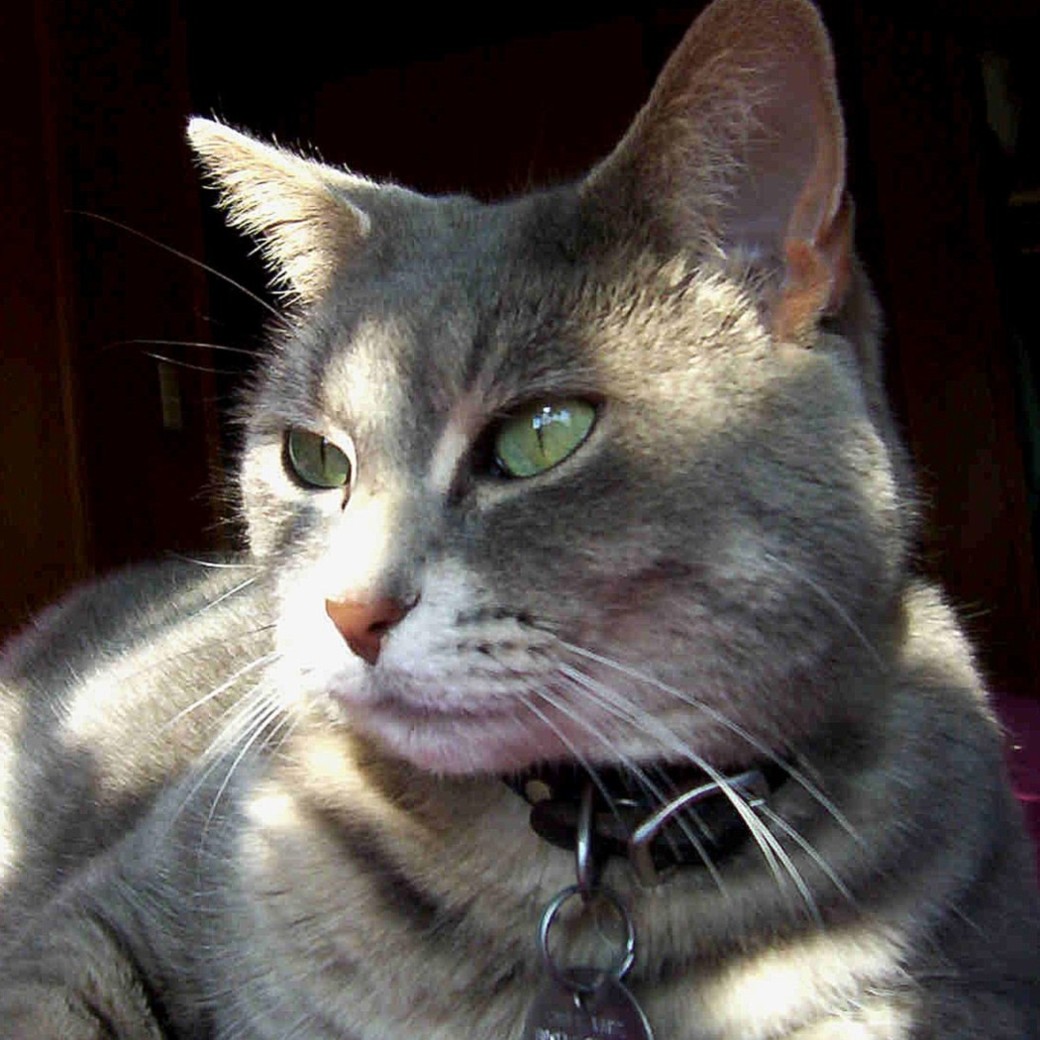 Photography by spincast1123 for DesignCrowd (Community Contests) | Design #9046248