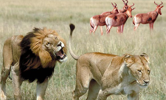 Photoshop Design by Agent019 for DesignCrowd (Community Contests) | Design #9047359