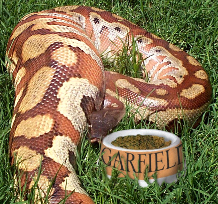 Photoshop Design by EyEars for DesignCrowd (Community Contests) | Design #9047444