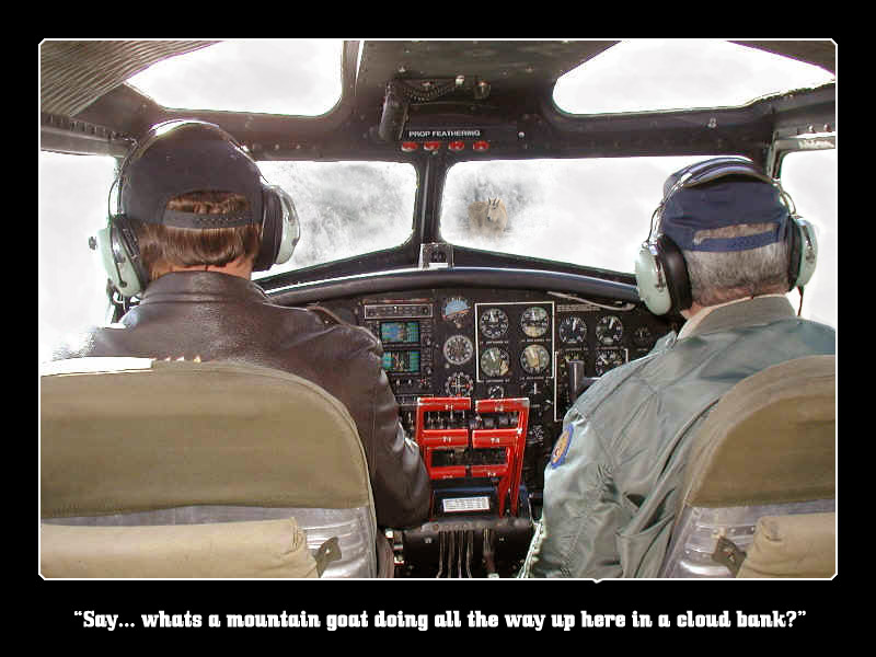 Photoshop Design by Wombie for DesignCrowd (Community Contests) | Design #9047414