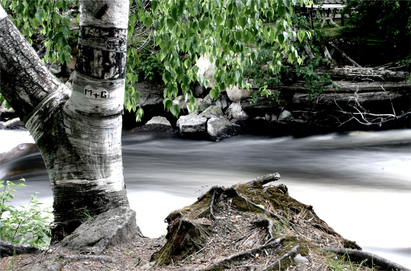 Fotografía por DoubleDizzle para DesignCrowd (Community Contests) | Diseño #9057862