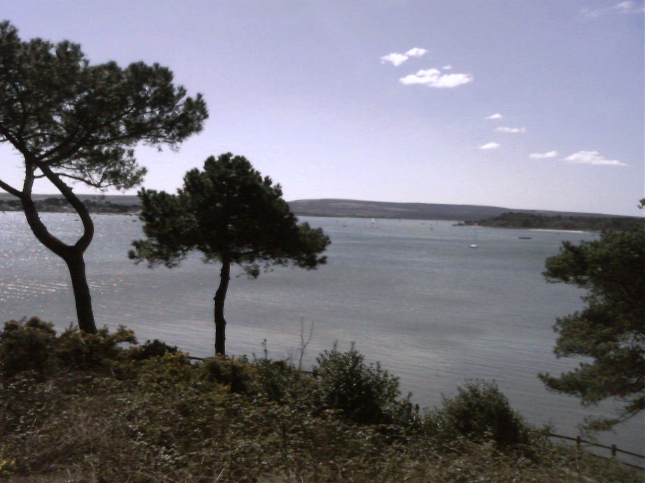 Photography by neonnight for DesignCrowd (Community Contests) | Design #9038004