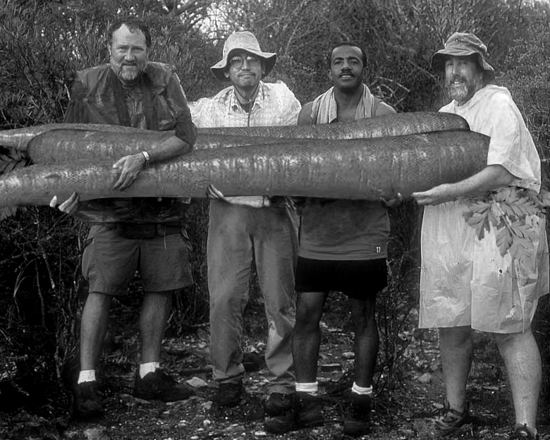 Design Photoshop par bertdesign pour DesignCrowd (Community Contests) | Design #9047464