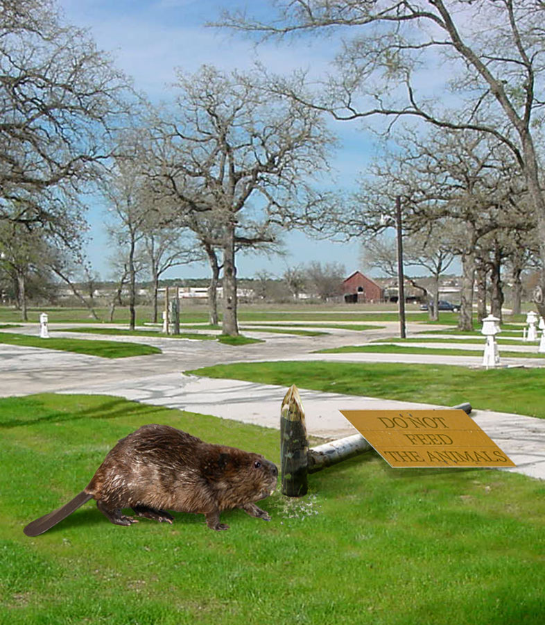 Photoshop Design by ozplasmic for DesignCrowd (Community Contests) | Design #9047439