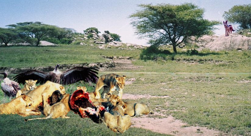 Photoshop-Design von DoctorTweek für DesignCrowd (Community Contests) | Design #9047512