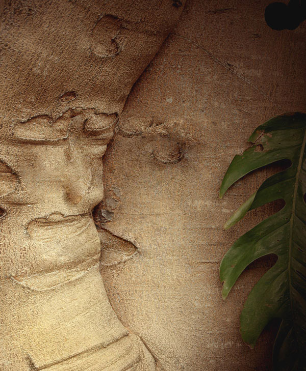 Design Photoshop par lindon pour DesignCrowd (Community Contests) | Design #9050902