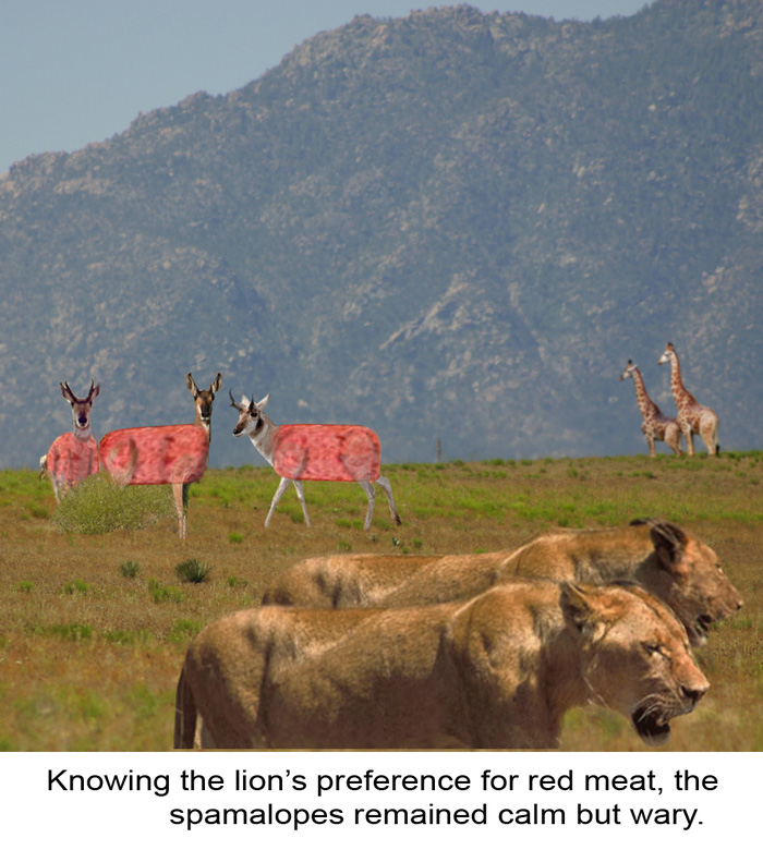 Photoshop Design by phischer for DesignCrowd (Community Contests) | Design #9047523