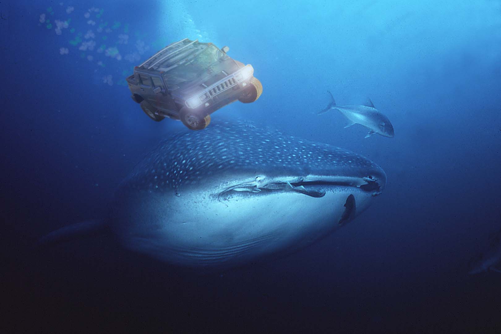 Design Photoshop par adrianrorheim pour DesignCrowd (Community Contests) | Design #9051185