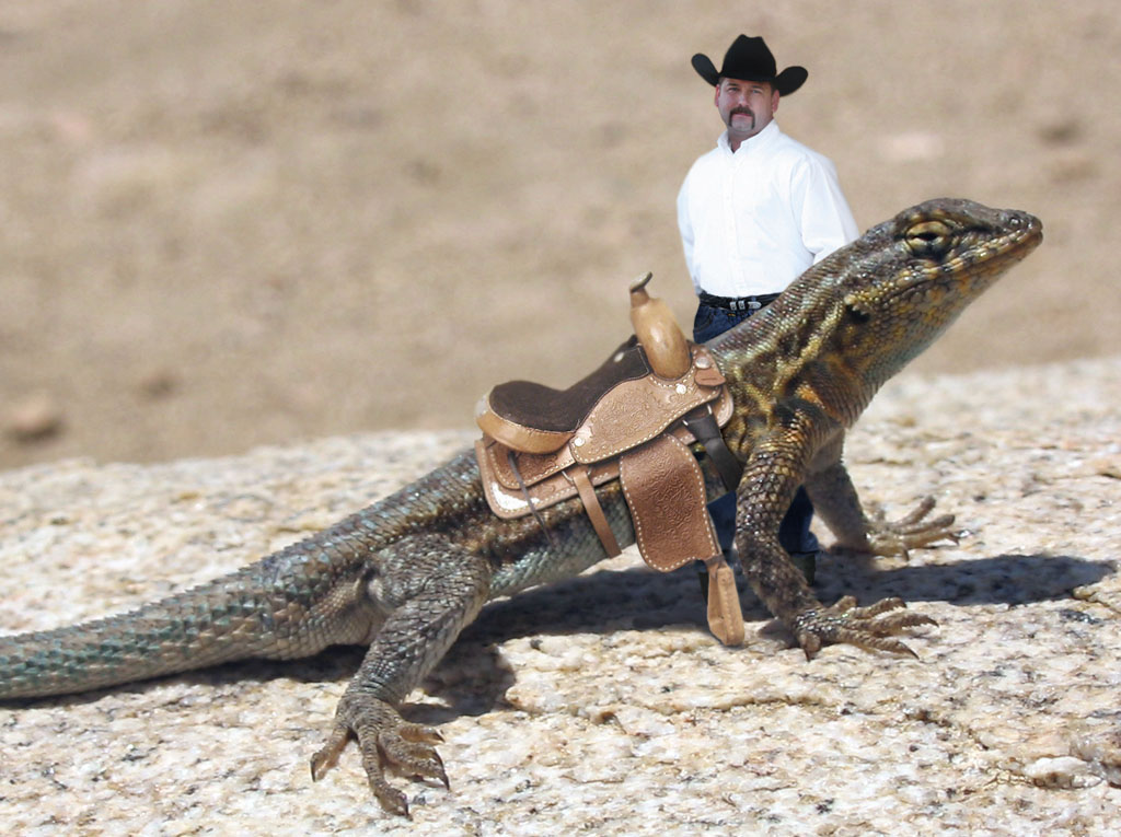 Photoshop Design by magnusx2 for DesignCrowd (Community Contests) | Design #9051171