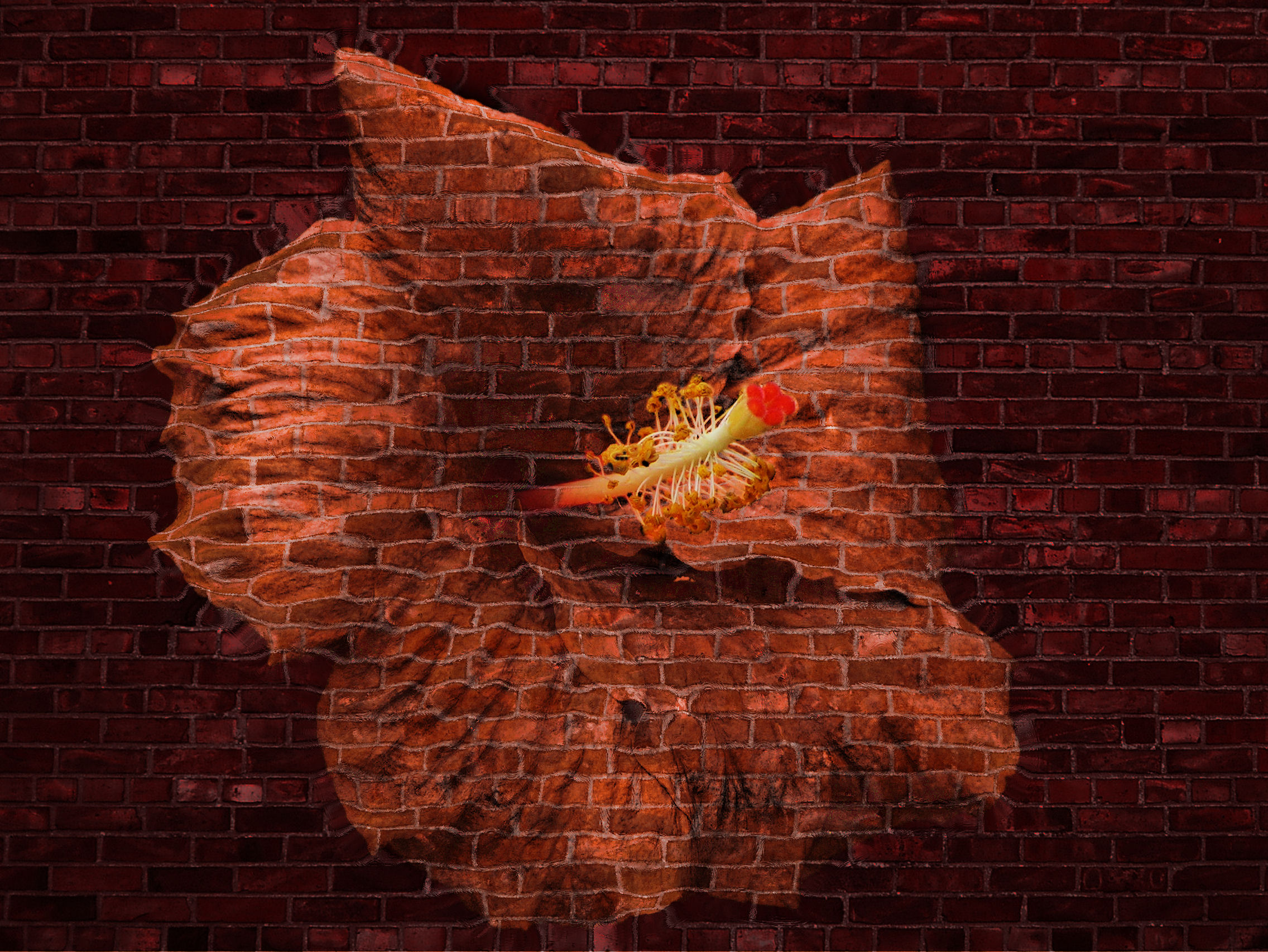 Photoshop-Design von ebvbaer für DesignCrowd (Community Contests) | Design #9050872