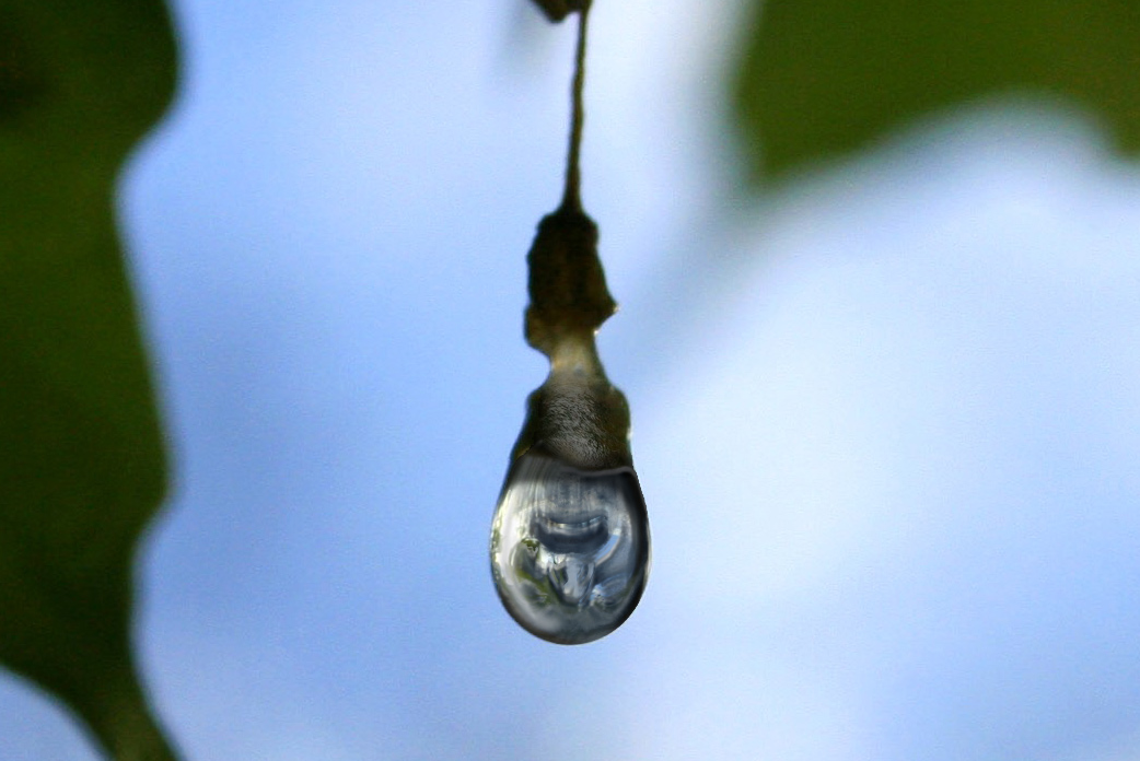 Photoshop Design by DennisL for DesignCrowd (Community Contests) | Design #9051012