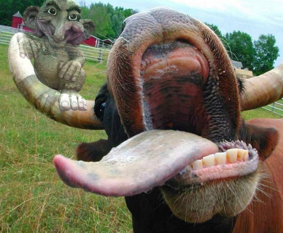 Photoshop Design by DuctilePear for DesignCrowd (Community Contests) | Design #9050994