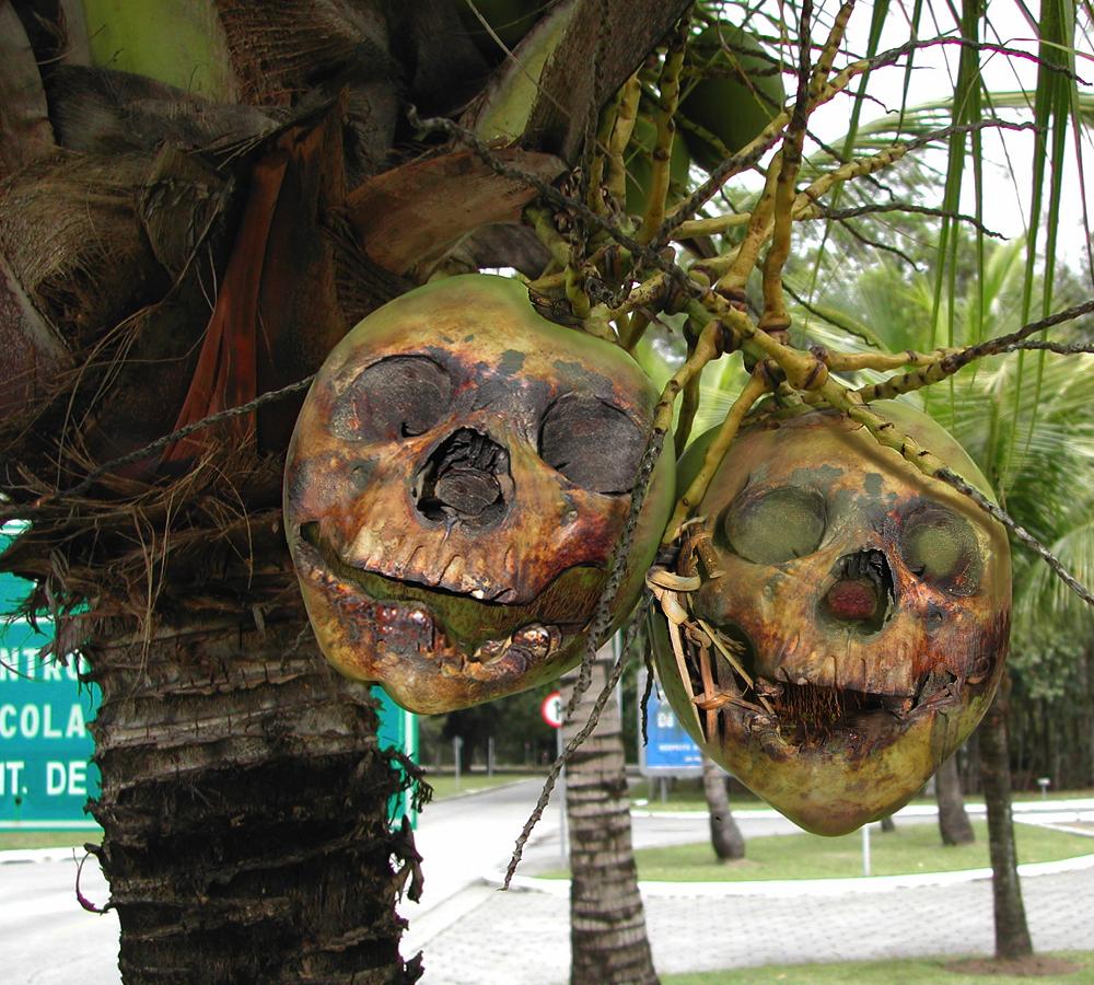 Photoshop Design by sugarcane for DesignCrowd (Community Contests) | Design #9051001