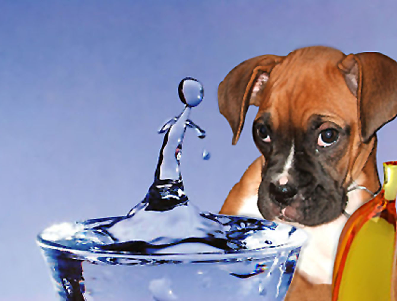 Photoshop Design by pendi29 for DesignCrowd (Community Contests) | Design #9051051