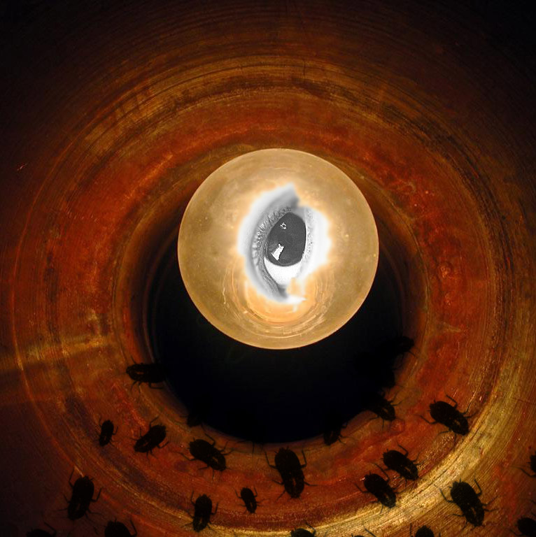 Photoshop Design by TheodlE for DesignCrowd (Community Contests) | Design #9051120