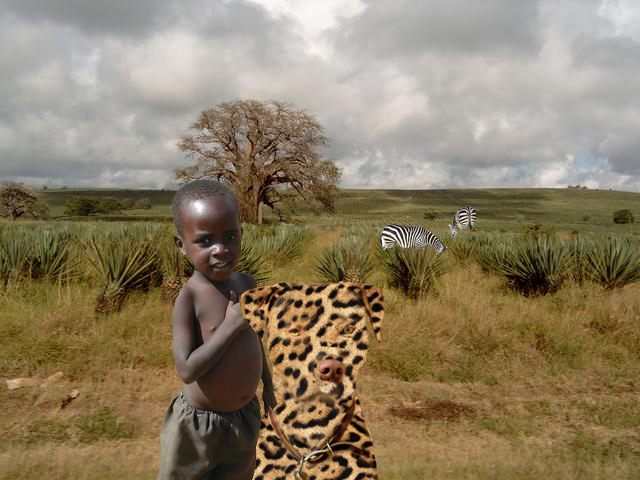 Diseño de Photoshop por Ameslee para DesignCrowd (Community Contests) | Diseño #9051258