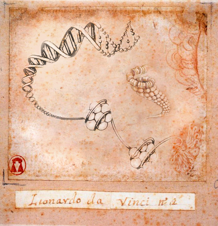 Photoshop Design by ivanas for DesignCrowd (Community Contests) | Design #9049950