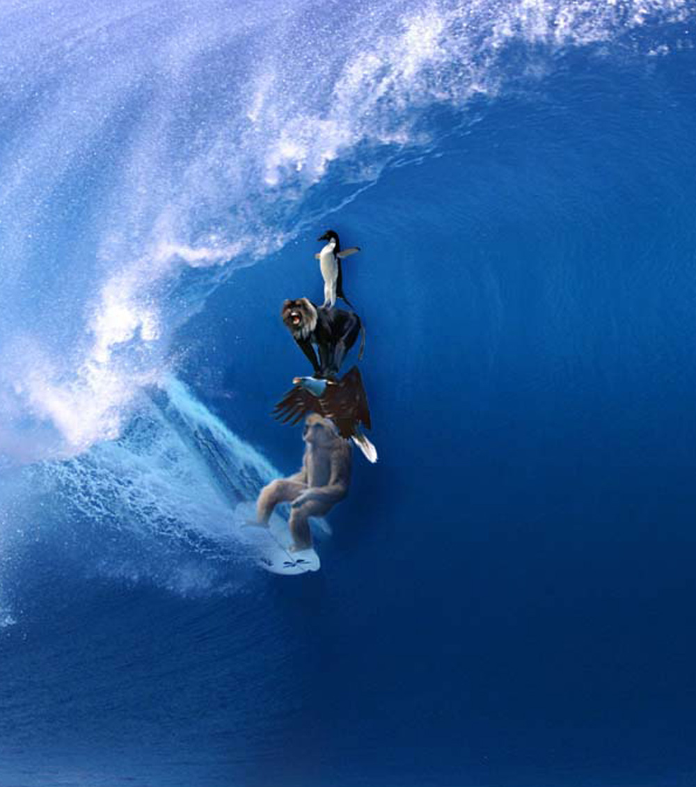 Photoshop Design by MasterCT for DesignCrowd (Community Contests) | Design #9051269