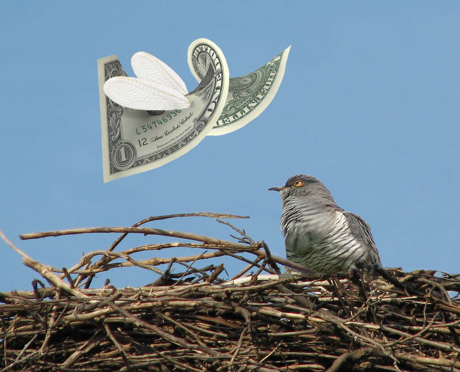 Photoshop Design by DebCam for DesignCrowd (Community Contests) | Design #9050010