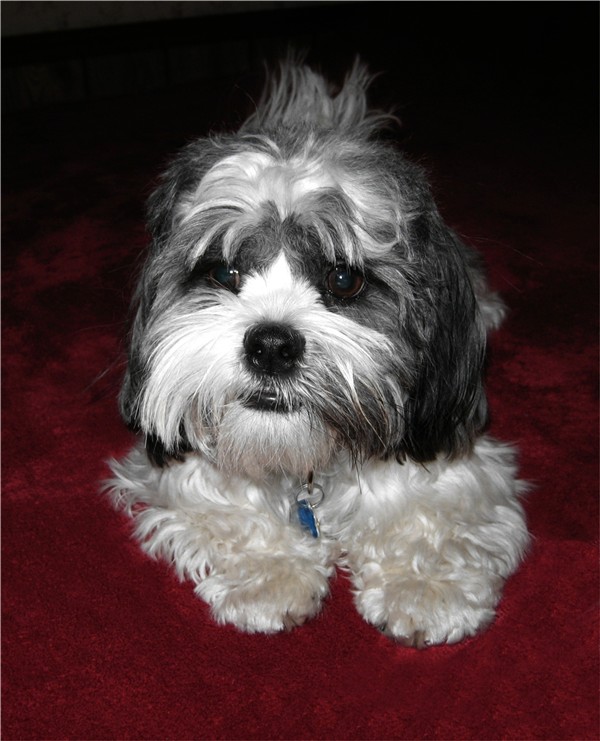 Photography by quin10 for DesignCrowd (Community Contests) | Design #9044384