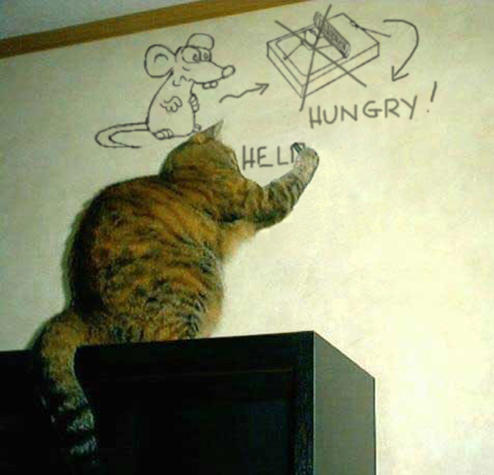 Design Photoshop par MataleoneRJ pour DesignCrowd (Community Contests) | Design #9051377