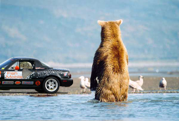 Photoshop Design by TheodlE for DesignCrowd (Community Contests) | Design #9050020