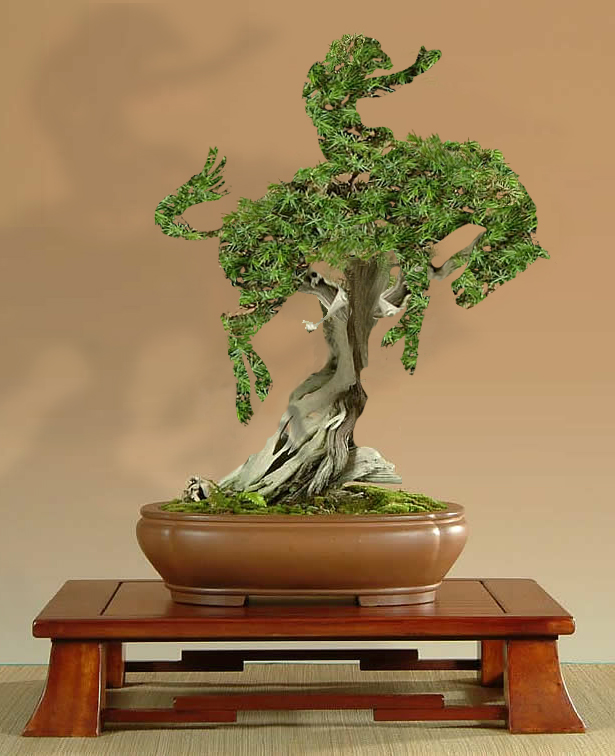 Photoshop Design by worldtraveler666 for DesignCrowd (Community Contests) | Design #9050001