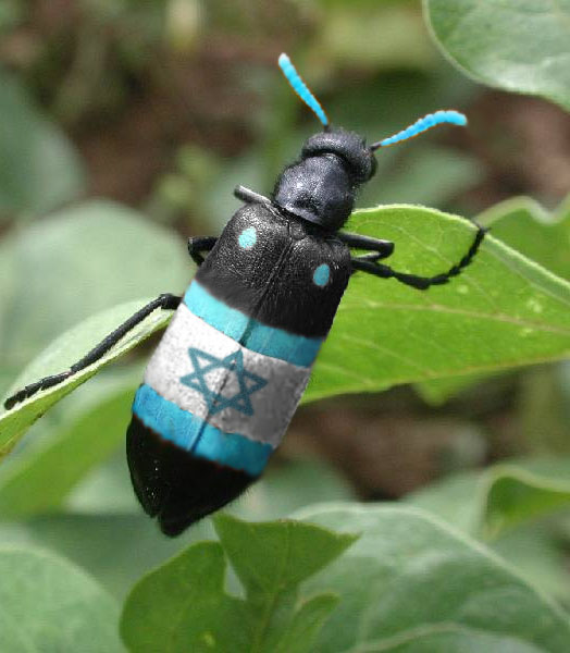 Photoshop-Design von h2oscienceguy081 für DesignCrowd (Community Contests) | Design #9049994