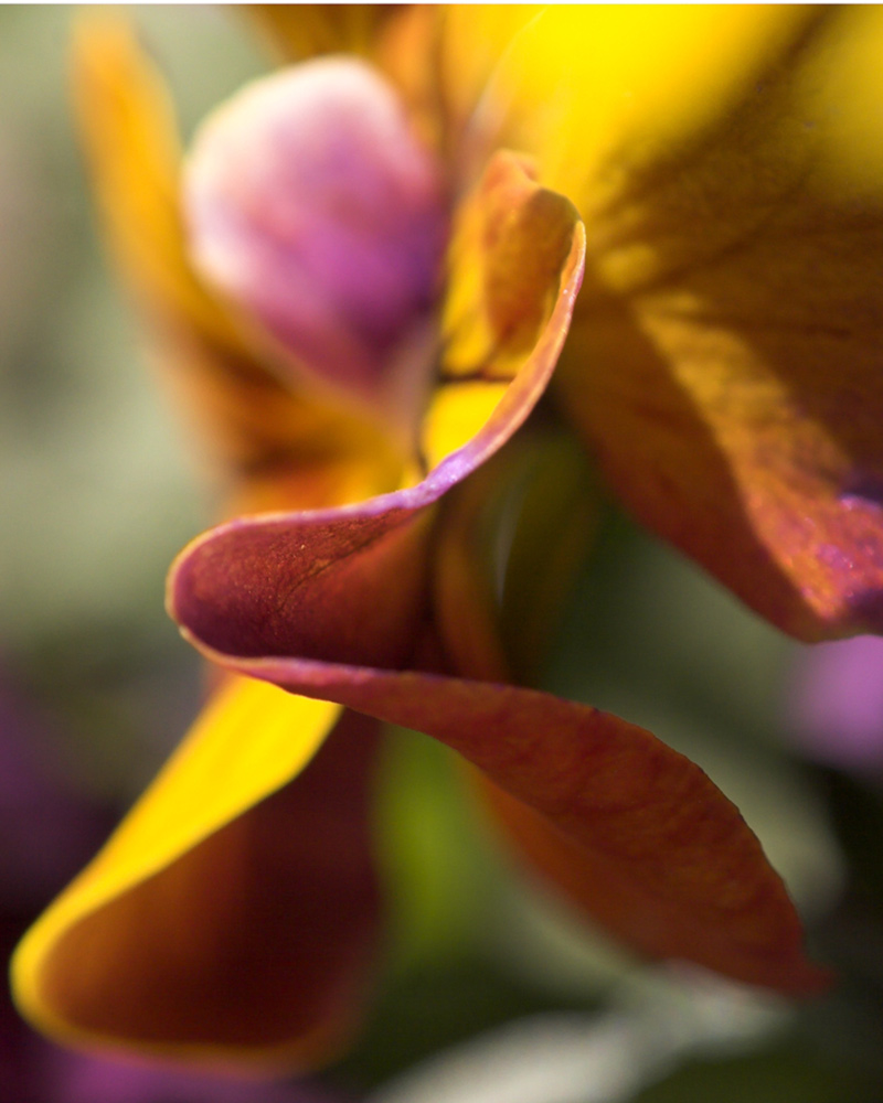 Photography by mabbts for DesignCrowd (Community Contests) | Design #9044391