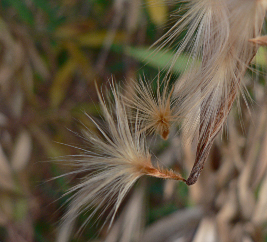 Fotografía por gymp93 para DesignCrowd (Community Contests) | Diseño #9044415