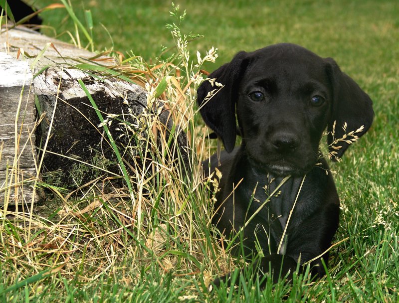 Photography by MisterMinn for DesignCrowd (Community Contests) | Design #9040804