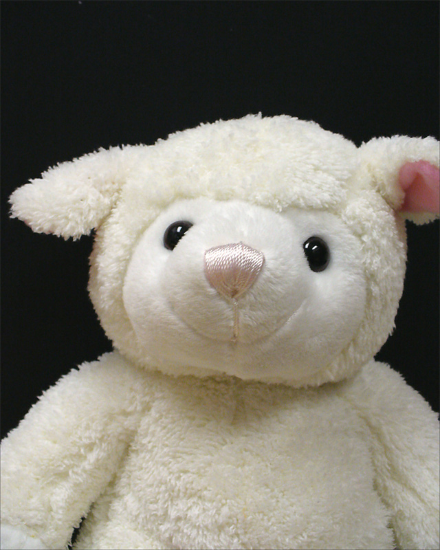 Fotografie von IsleofJura für DesignCrowd (Community Contests) | Design #9044438