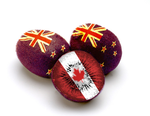 Photoshop Design by trailblazer for DesignCrowd (Community Contests) | Design #9049266