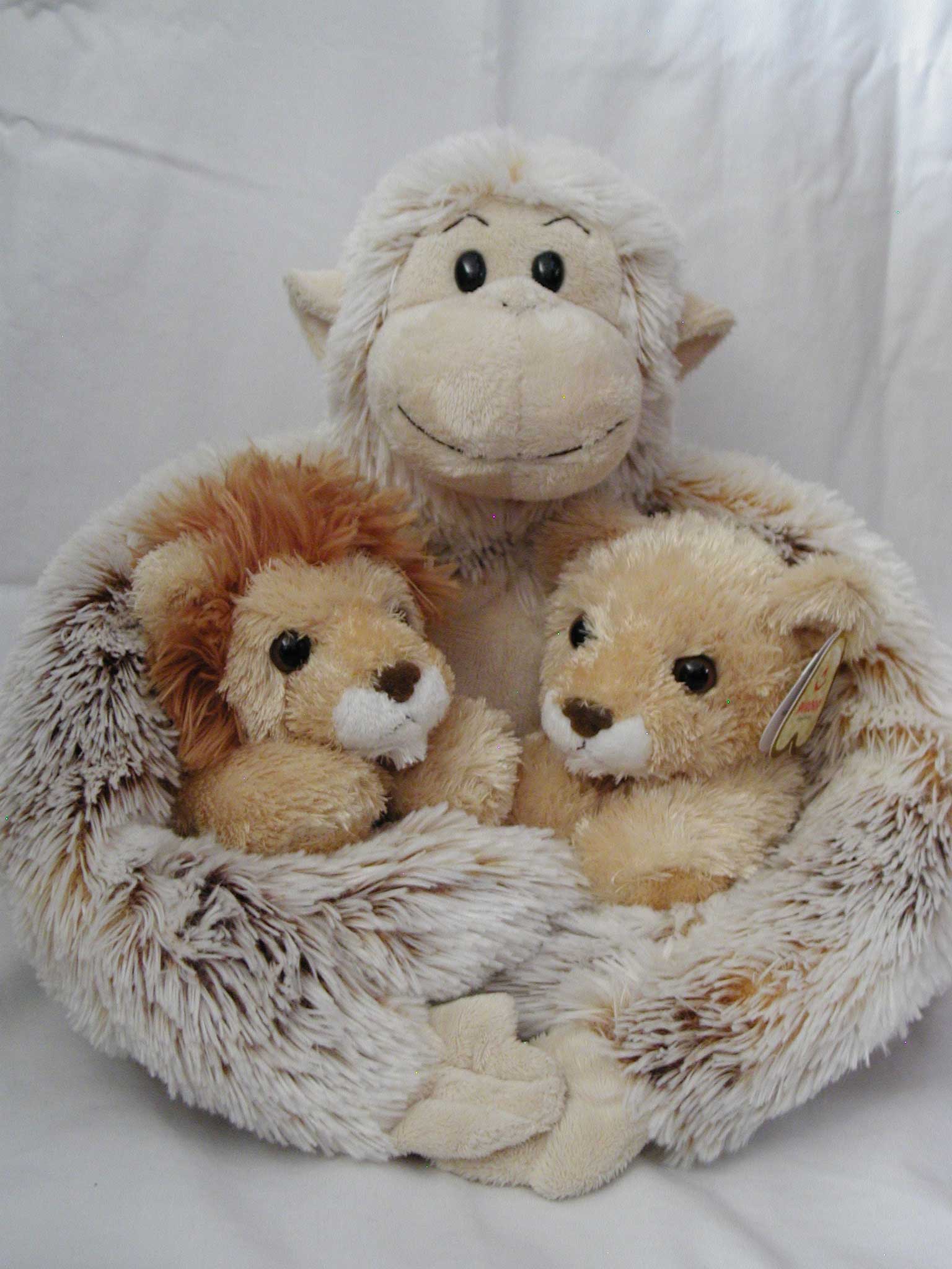 Photography by suesslittle for DesignCrowd (Community Contests) | Design #9044433