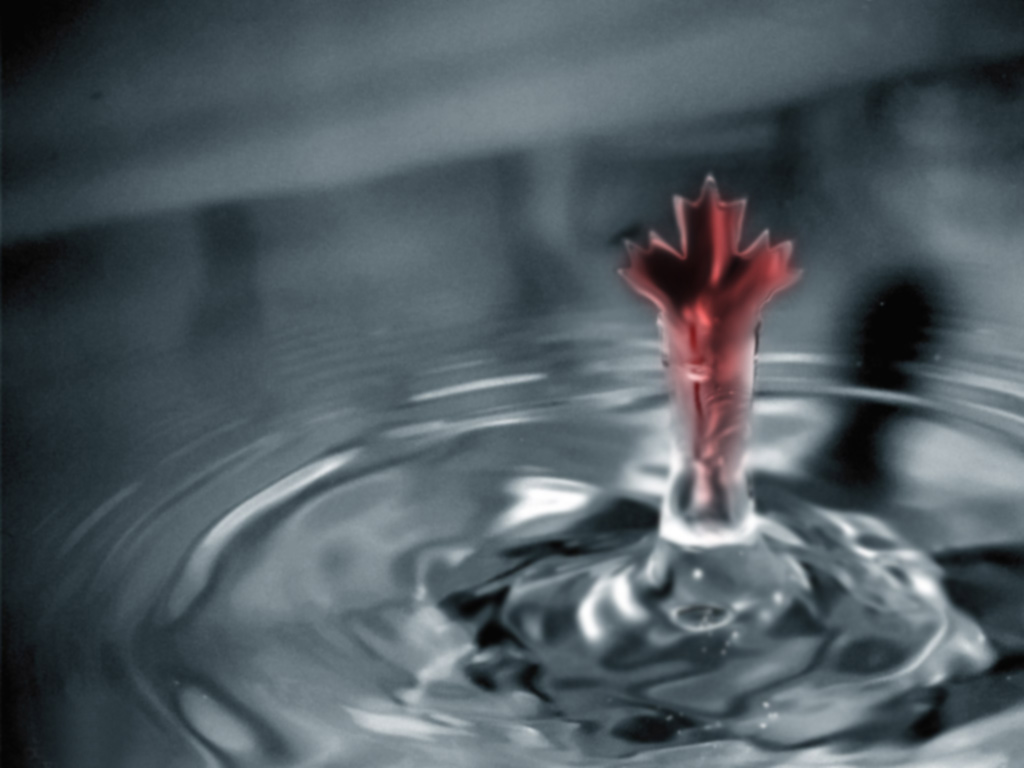 Photoshop Design by Reizvolle for DesignCrowd (Community Contests) | Design #9049284