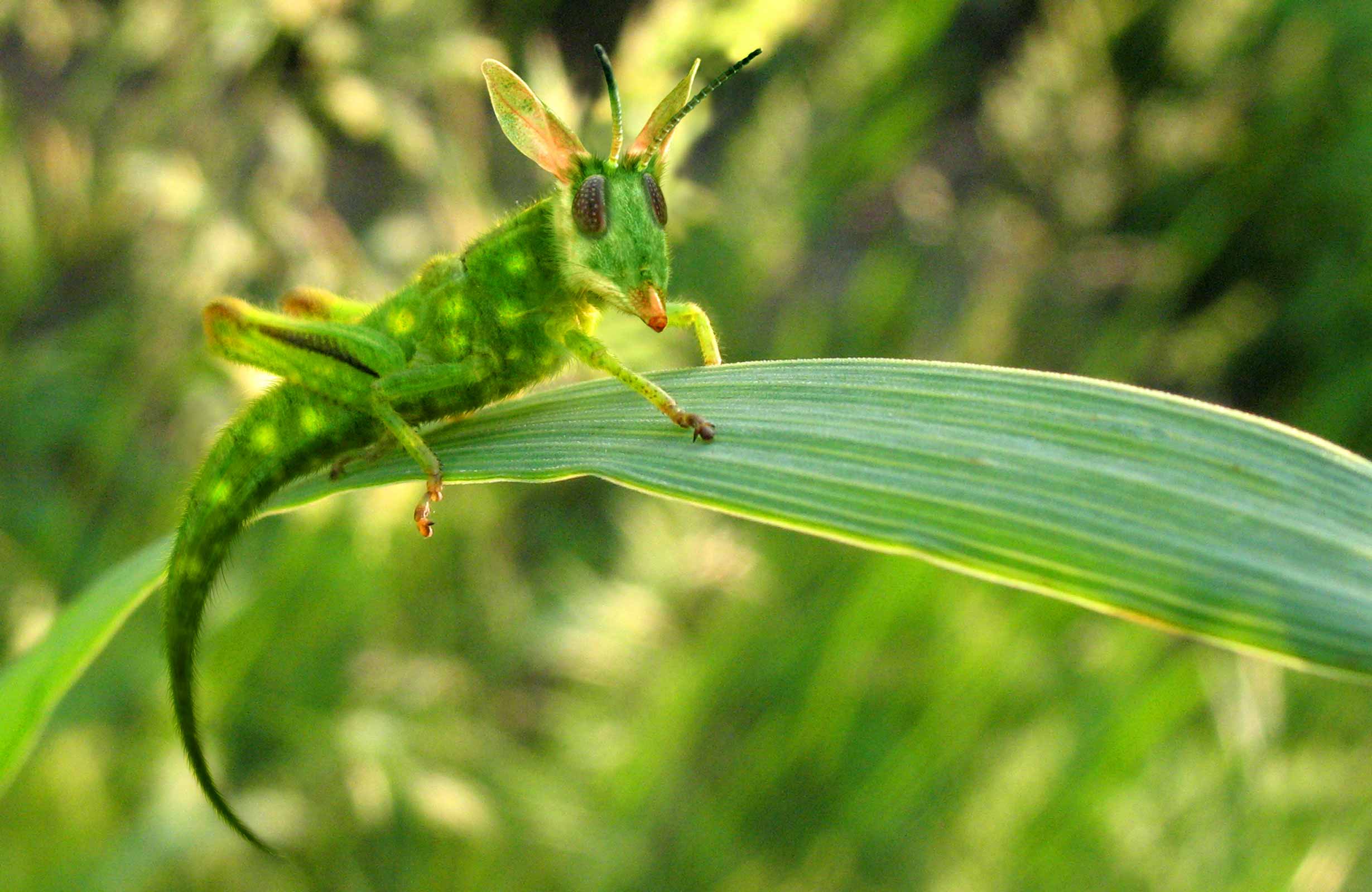 Photoshop Design by lodoiska for DesignCrowd (Community Contests) | Design #9049132