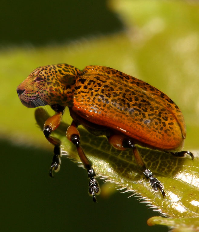 Diseño de Photoshop por h2oscienceguy081 para DesignCrowd (Community Contests) | Diseño #9049128