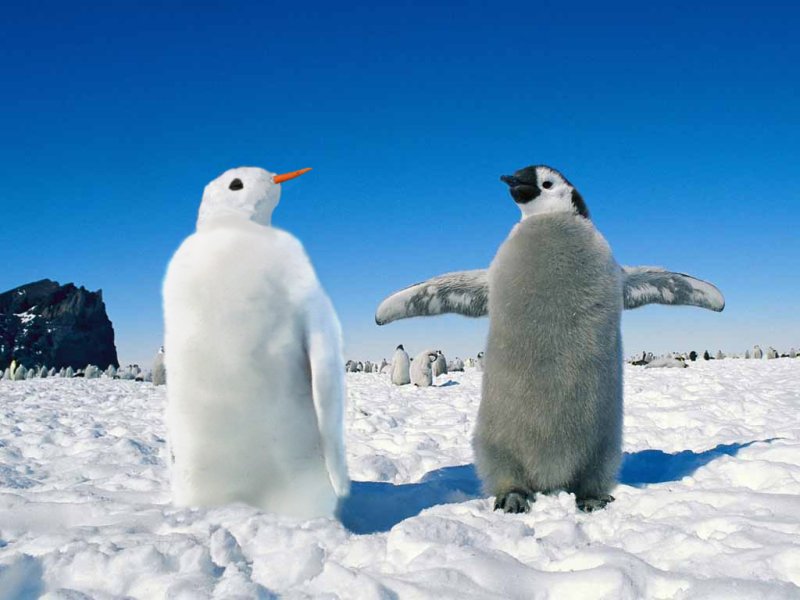 Photoshop-Design von DoctorTweek für DesignCrowd (Community Contests) | Design #9036708