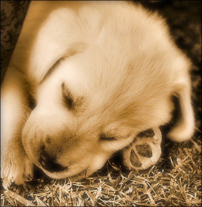 Fotografie von Juicer für DesignCrowd (Community Contests) | Design #9040824