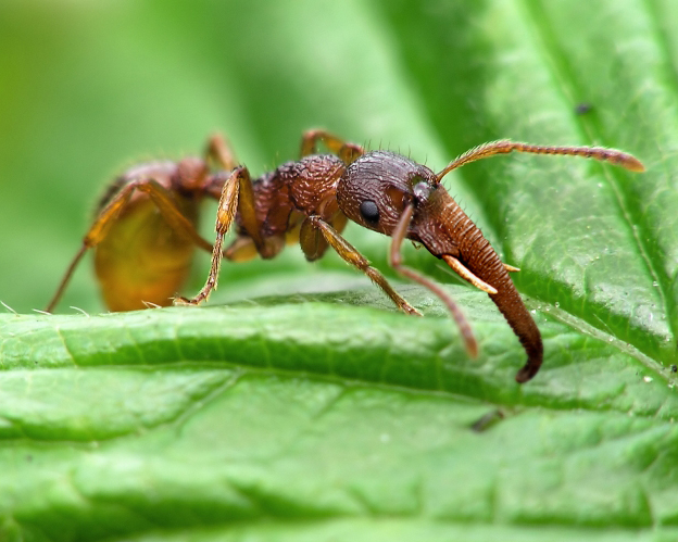 Photoshop Design by davidberettaowens for DesignCrowd (Community Contests) | Design #9049296